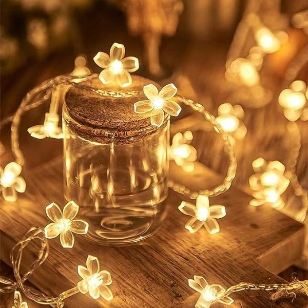 DAISYGLOW