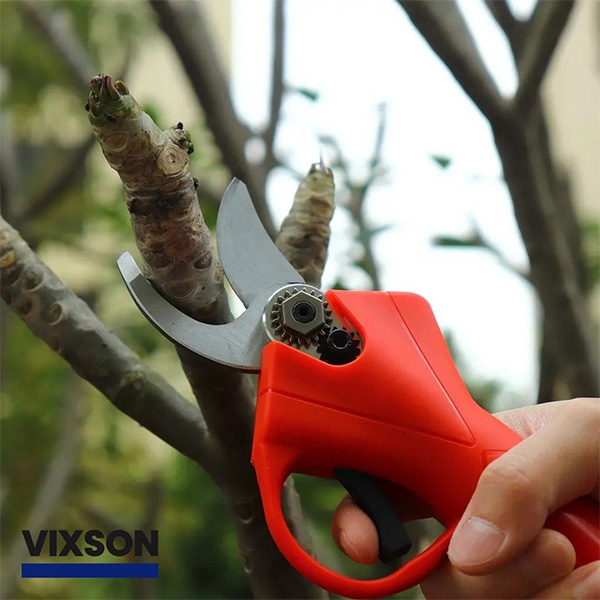 WHIZZPRUNER