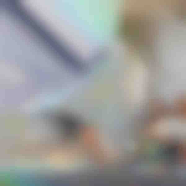 Διακοσμητική μεμβράνη παραθύρων και προστασία της ιδιωτικής ζωής | PRISMWRAP