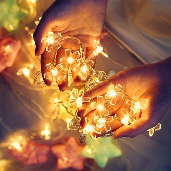 DAISYGLOW