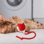 GATOPLAY