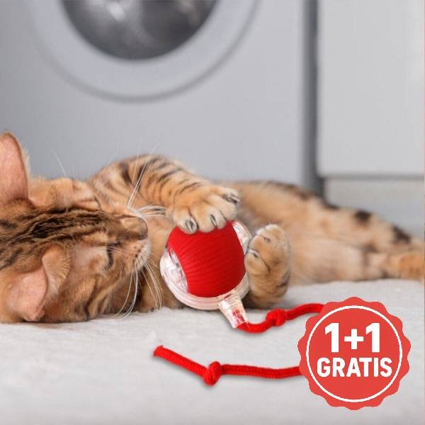 GATOPLAY
