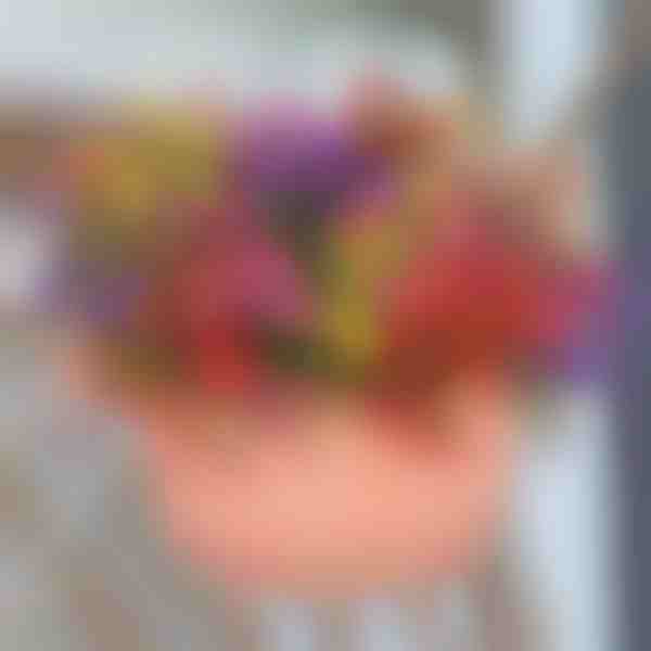 Αειθαλές Πράσινο Διακοσμητικό (6 τεμ./σετ) | ARTIFLOWERS